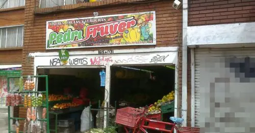 PEDRI FRUVER PEDRI FRUVER